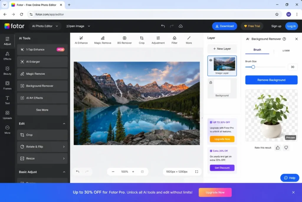 Fotor web editor showing AI tools 1-Tap Enhance AI Enlarger Magic Remove and Background Remover on a photo canvas