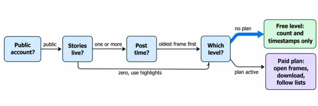 FollowSpy Story Viewer workflow showing public account, live story, post time, and free versus paid access checks